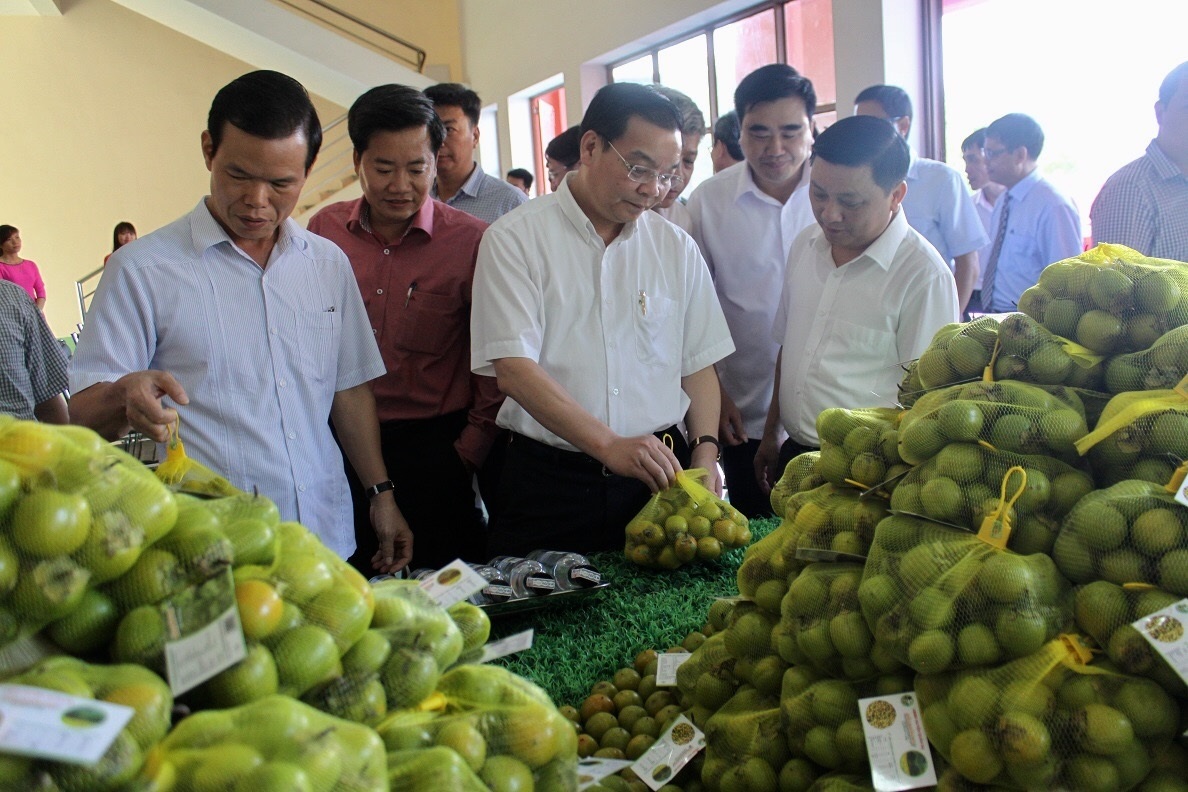 Sở hữu trí tuệ, chắp cánh cho thương hiệu nông sản Việt